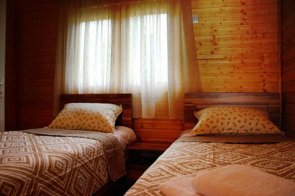Hotel Ushba Hill Mestia Exterior photo